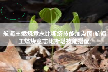 航海王燃烧意志比斯塔技能加点图(航海王燃烧意志比斯塔技能搭配)