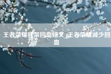 王者荣耀打架回血铭文_王者荣耀减少回血