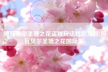 阿瓦贝尔圣境之花盗贼玩法转职攻略(阿瓦贝尔圣境之花国际服)