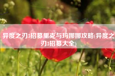 异度之刃3招募里克与玛娜娜攻略(异度之刃3招募大全)