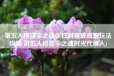 第五人格宿伞之魂张狂封窗放血流玩法攻略(第五人格宿伞之魂时光代理人)