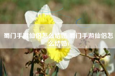 蜀门手游仙侣怎么结婚(蜀门手游仙侣怎么结婚)