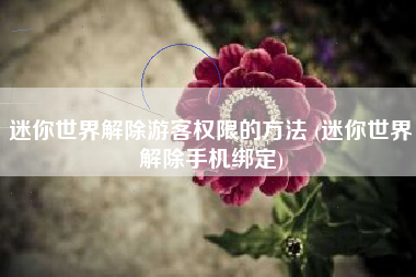 迷你世界解除游客权限的方法 (迷你世界解除手机绑定)