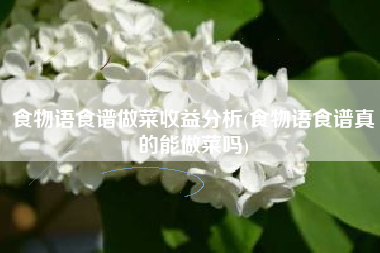 食物语食谱做菜收益分析(食物语食谱真的能做菜吗)