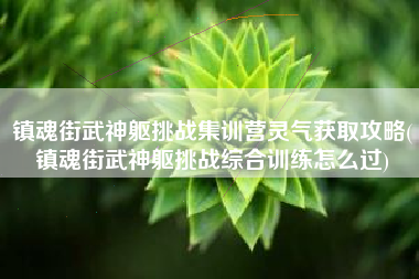 镇魂街武神躯挑战集训营灵气获取攻略(镇魂街武神躯挑战综合训练怎么过)
