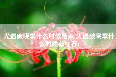 光遇破晓季什么时候结束(光遇破晓季什么时候有红石)
