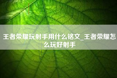王者荣耀玩射手用什么铭文_王者荣耀怎么玩好射手