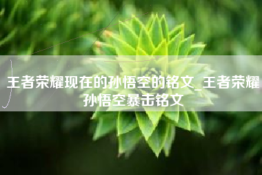 王者荣耀现在的孙悟空的铭文_王者荣耀孙悟空暴击铭文