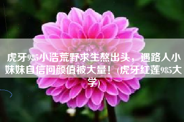 虎牙985小浩荒野求生熬出头，遇路人小妹妹自信问颜值被大量！(虎牙红莲985大学)