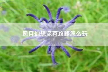 风月幻想深宫攻略怎么玩