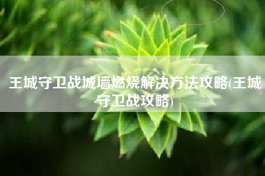 王城守卫战城墙燃烧解决方法攻略(王城守卫战攻略)
