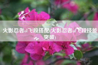 火影忍者ol飞段搭配(火影忍者ol飞段技能突破)