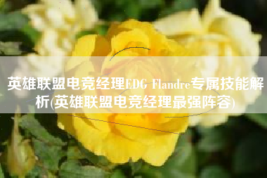 英雄联盟电竞经理EDG Flandre专属技能解析(英雄联盟电竞经理最强阵容)