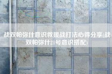 战双帕弥什意识救援战打法心得分享(战双帕弥什21号意识搭配)