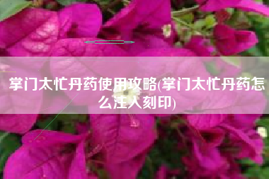 掌门太忙丹药使用攻略(掌门太忙丹药怎么注入刻印)