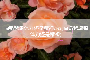 dnf奶爸走体力还是精神2022(dnf奶爸增幅体力还是精神)