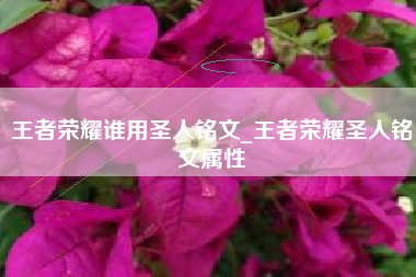 王者荣耀谁用圣人铭文_王者荣耀圣人铭文属性