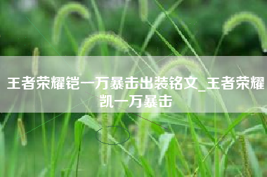 王者荣耀铠一万暴击出装铭文_王者荣耀凯一万暴击