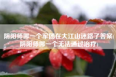 阴阳师哪一个军团在大江山迷路了答案(阴阳师哪一个无法通过治疗)