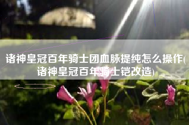 诸神皇冠百年骑士团血脉提纯怎么操作(诸神皇冠百年骑士铠改造)