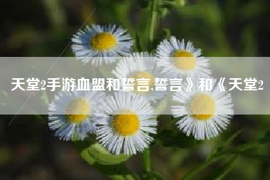 天堂2手游血盟和誓言,誓言》和《天堂2