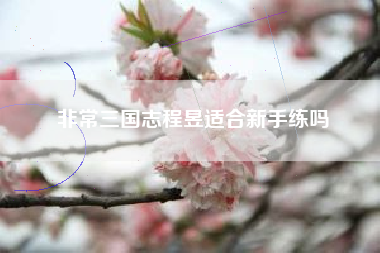非常三国志程昱适合新手练吗