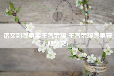 铭文到哪里卖王者荣耀(王者荣耀哪里获取铭文)