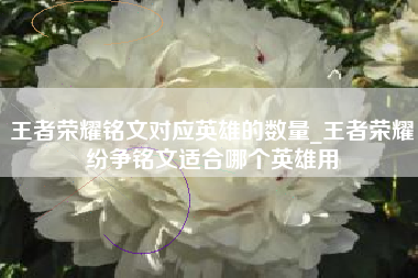 王者荣耀铭文对应英雄的数量_王者荣耀纷争铭文适合哪个英雄用