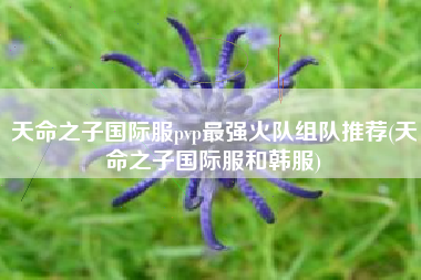 天命之子国际服pvp最强火队组队推荐(天命之子国际服和韩服)