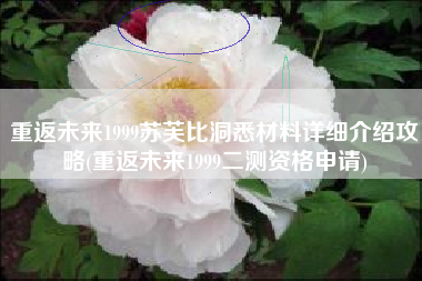 重返未来1999苏芙比洞悉材料详细介绍攻略(重返未来1999二测资格申请)