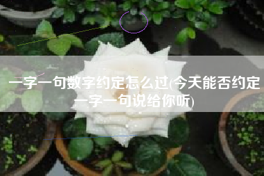 一字一句数字约定怎么过(今天能否约定一字一句说给你听)