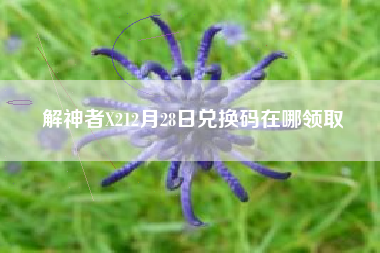 解神者X212月28日兑换码在哪领取
