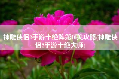 神雕侠侣2手游十绝阵第10关攻略(神雕侠侣2手游十绝大师)