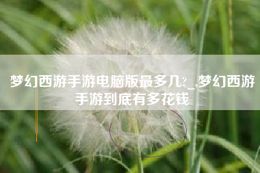 梦幻西游手游电脑版最多几?_,梦幻西游手游到底有多花钱