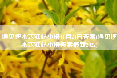 遇见逆水寒驿站小报11月24日答案(遇见逆水寒驿站小报答案最新2022)