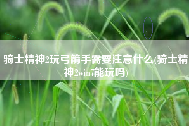 骑士精神2玩弓箭手需要注意什么(骑士精神2win7能玩吗)