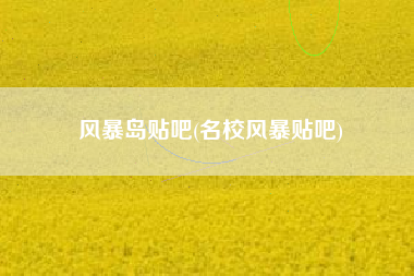 风暴岛贴吧(名校风暴贴吧)