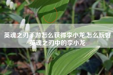 英魂之刃手游怎么获得李小龙,怎么玩好英魂之刃中的李小龙