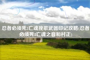 忍者必须死3亡魂挽歌武器印记攻略(忍者必须死3亡魂之音和村正)