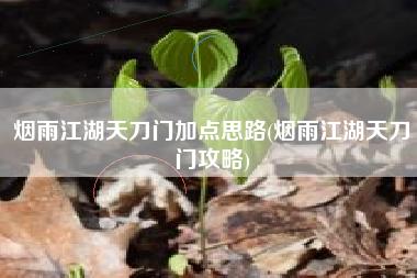 烟雨江湖天刀门加点思路(烟雨江湖天刀门攻略)