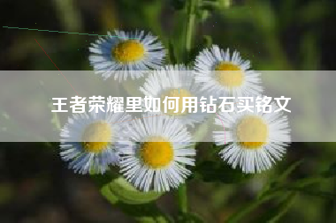 王者荣耀里如何用钻石买铭文