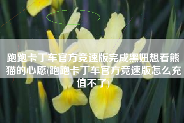 跑跑卡丁车官方竞速版完成黑妞想看熊猫的心愿(跑跑卡丁车官方竞速版怎么充值不了)