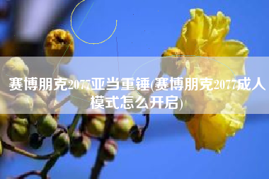 赛博朋克2077亚当重锤(赛博朋克2077成人模式怎么开启)