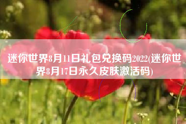 迷你世界8月11日礼包兑换码2022(迷你世界8月17日永久皮肤激活码)
