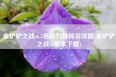 金铲铲之战s6.5名流刀妹阵容攻略(金铲铲之战s6版本下载)