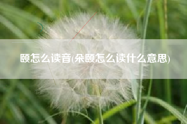 颐怎么读音(朵颐怎么读什么意思)