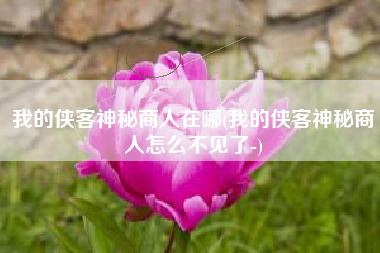 我的侠客神秘商人在哪(我的侠客神秘商人怎么不见了-)