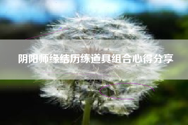 阴阳师缘结历练道具组合心得分享