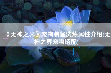 《无神之界》宠物装备洗炼属性介绍(无神之界宠物搭配)