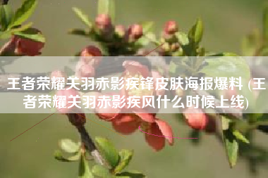 王者荣耀关羽赤影疾锋皮肤海报爆料 (王者荣耀关羽赤影疾风什么时候上线)